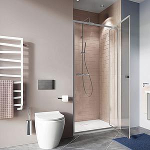 Crosswater Clear 6 Pivot Door 900 Silver