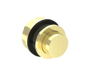 Saneux Flushe 2.0 Brass Flush Button (for Hc2030) - Brushed Brass Pvd
