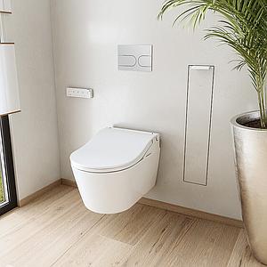 Toto Washlet Rw Auto Flush White Trim
